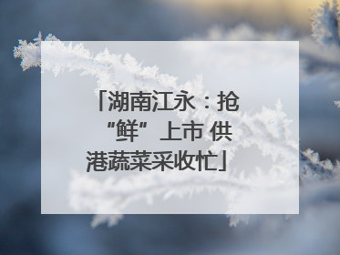 湖南江永：抢“鲜”上市 供港蔬菜采收忙
